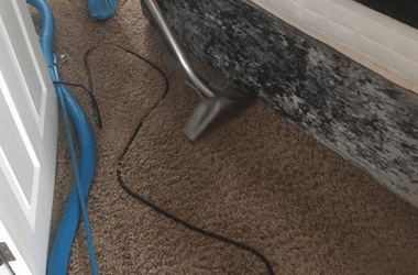 Carpet odour removal